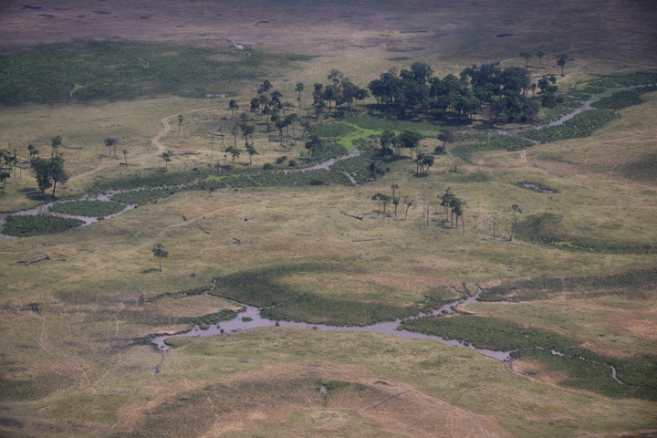 Kenya Safari │ 動物大遷徙 Day 8 and Day 9完結篇