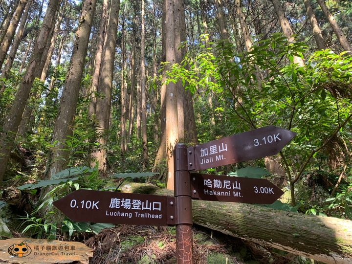 攻頂台版富士山｜加里山包車攻頂一日遊