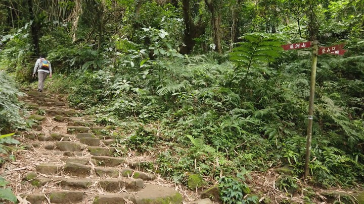 [樂山童盟] [桃園大溪] 溪洲山步道(新溪洲山-石門水庫)