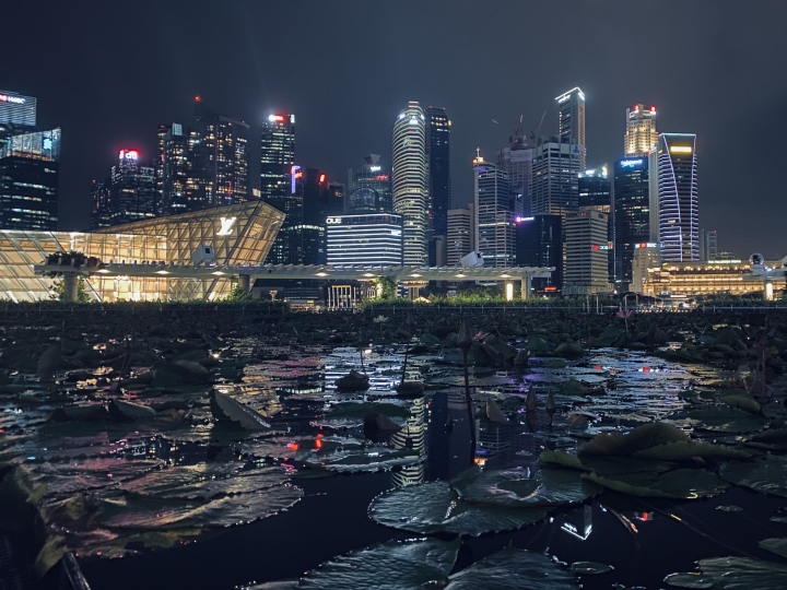 iPhone 11 夜拍新加坡濱海灣