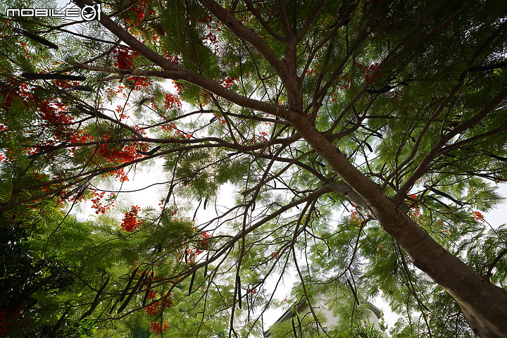 Sony 12-24mm f/2.8 GM 真·超廣角大光圈神鏡!同場對決 12-24mm f/4G!