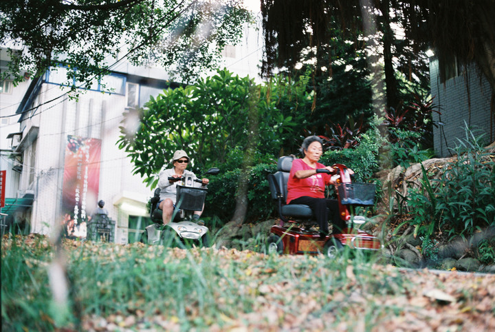 樂生16年，司改19天，退菊??。[C200][50.8STM]