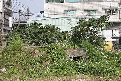 點我看大圖
