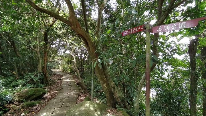 [樂山童盟] [桃園大溪] 溪洲山步道(新溪洲山-石門水庫)