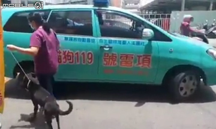 照生會貓狗119增加中部項雷號救援小組 期望社會大眾支持