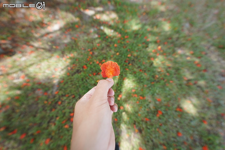 Sony 12-24mm f/2.8 GM 真·超廣角大光圈神鏡!同場對決 12-24mm f/4G!