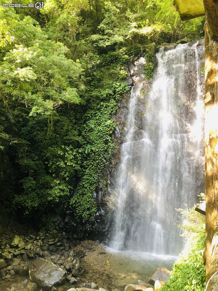 【小惡魔振興券】 炎炎夏日來去三峽滿月圓國家森林遊樂區享受天然冷氣,以及大口呼吸芬多精