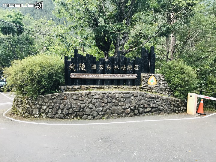 【百岳】武陵四秀2日行 – Day 2