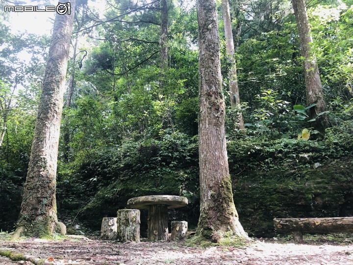 【小惡魔振興券】 炎炎夏日來去三峽滿月圓國家森林遊樂區享受天然冷氣，以及大口呼吸芬多精