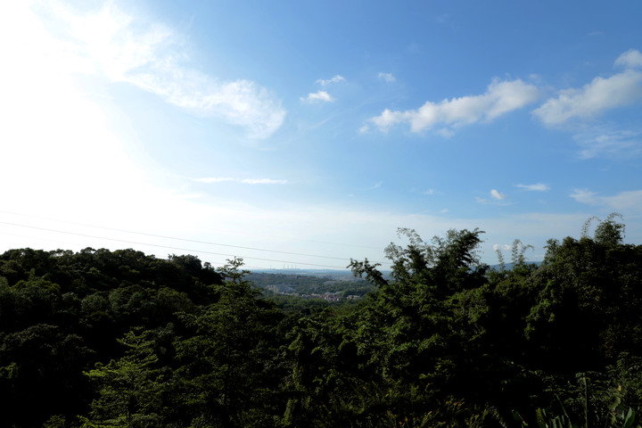 S步道|彰化|桃源里步道|彰北一日輕旅行|彰化市