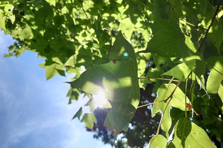 點我看大圖 持續進化的 _ Xperia 1 II