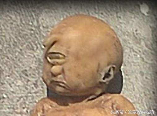 在銀河—南河三外星人活捉人類？？為繁殖？