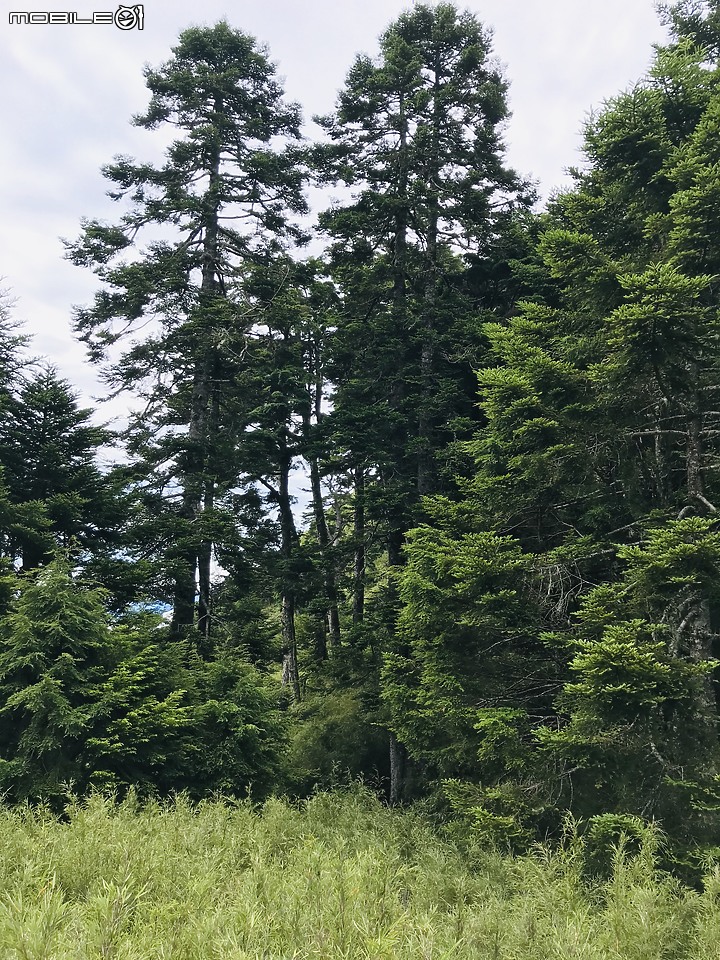 【雪山西稜縱走】趣味橫生 必去縱走 - Day 3