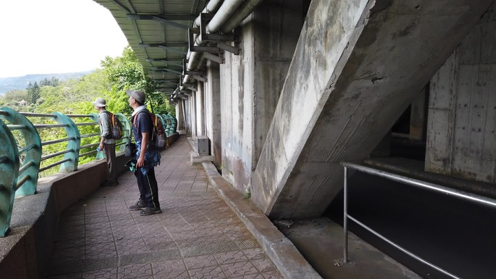 [樂山童盟] [桃園大溪] 溪洲山步道(新溪洲山-石門水庫)