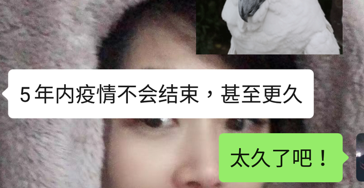 亞諾法 vs 合一 ，下週接刀秀
