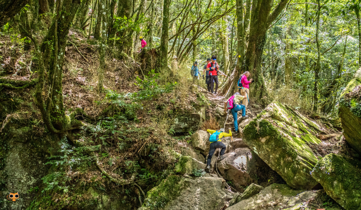 攻頂台版富士山｜加里山包車攻頂一日遊