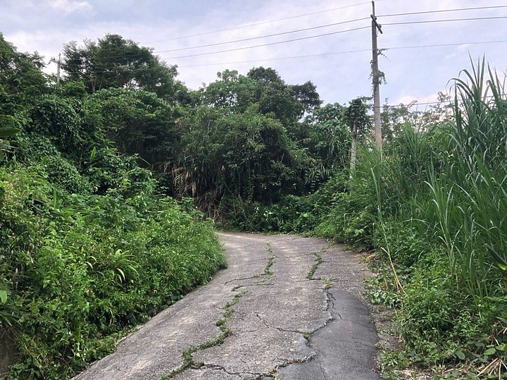 大型重機跑鄉道
