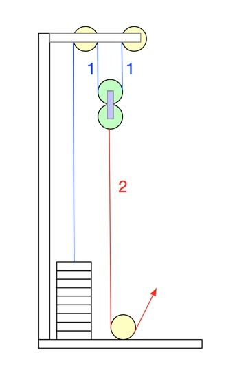 健身滑輪系統設備淺談 (飛鳥/高低拉..etc)