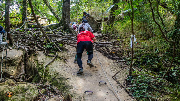 攻頂台版富士山｜加里山包車攻頂一日遊