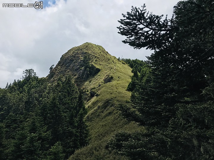 【百岳】武陵四秀2日行 – Day 2