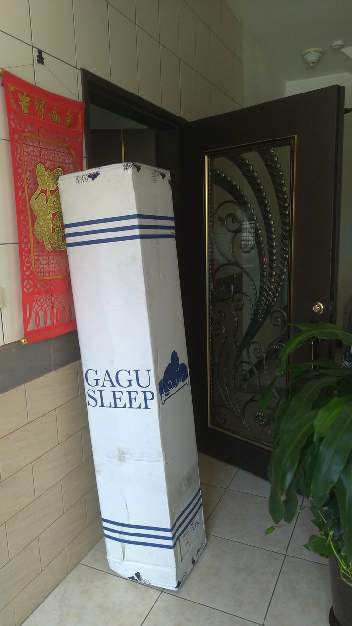 宅大叔開箱-GaguSleep冰山床(喔耶)~內附影片