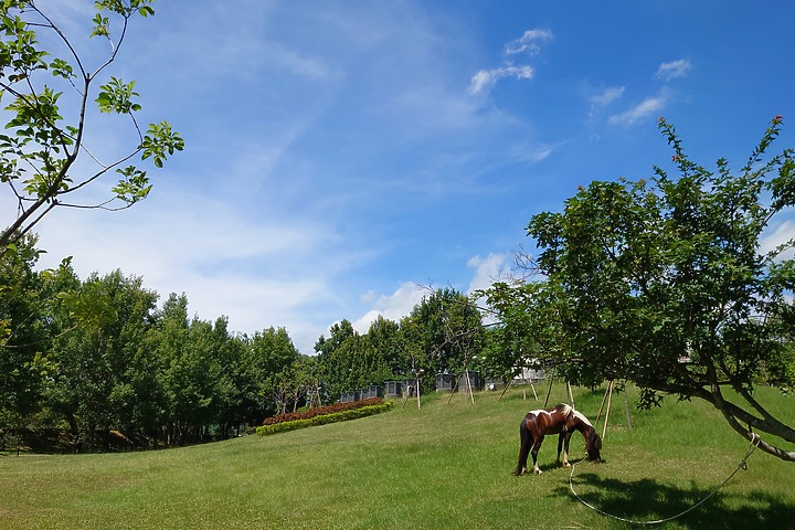 點我看大圖 持續進化的 _ Xperia 1 II