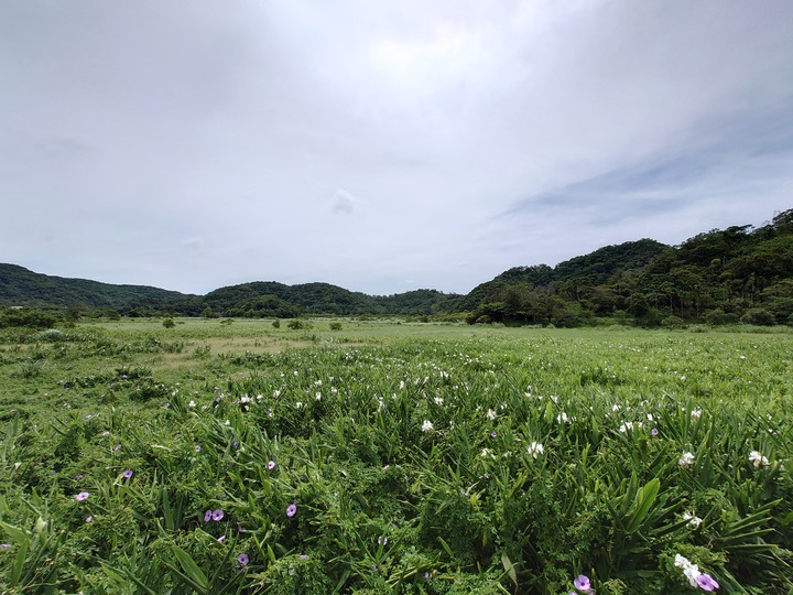 帶著 Xperia 1 II 環島去~