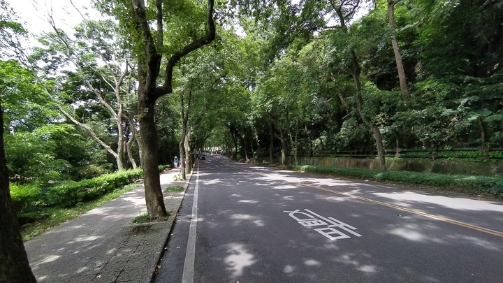 [樂山童盟] [桃園大溪] 溪洲山步道(新溪洲山-石門水庫)