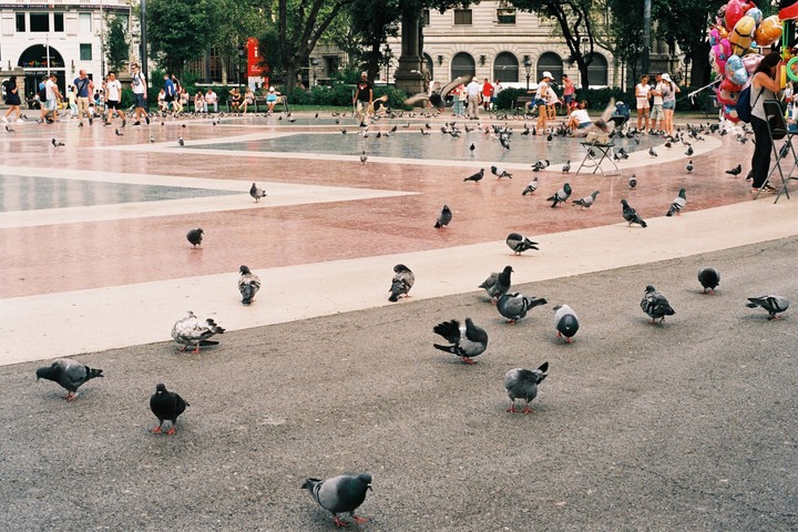 點我看大圖 分享 OLYMPUS OM1 2019 測評