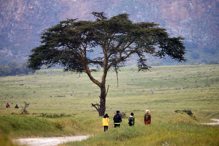 Kenya Safari │ 動物大遷徙 Day 3