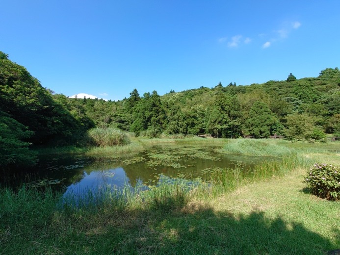 台灣首款通過認證5G手機Sony Xperia 1 II 開箱評測