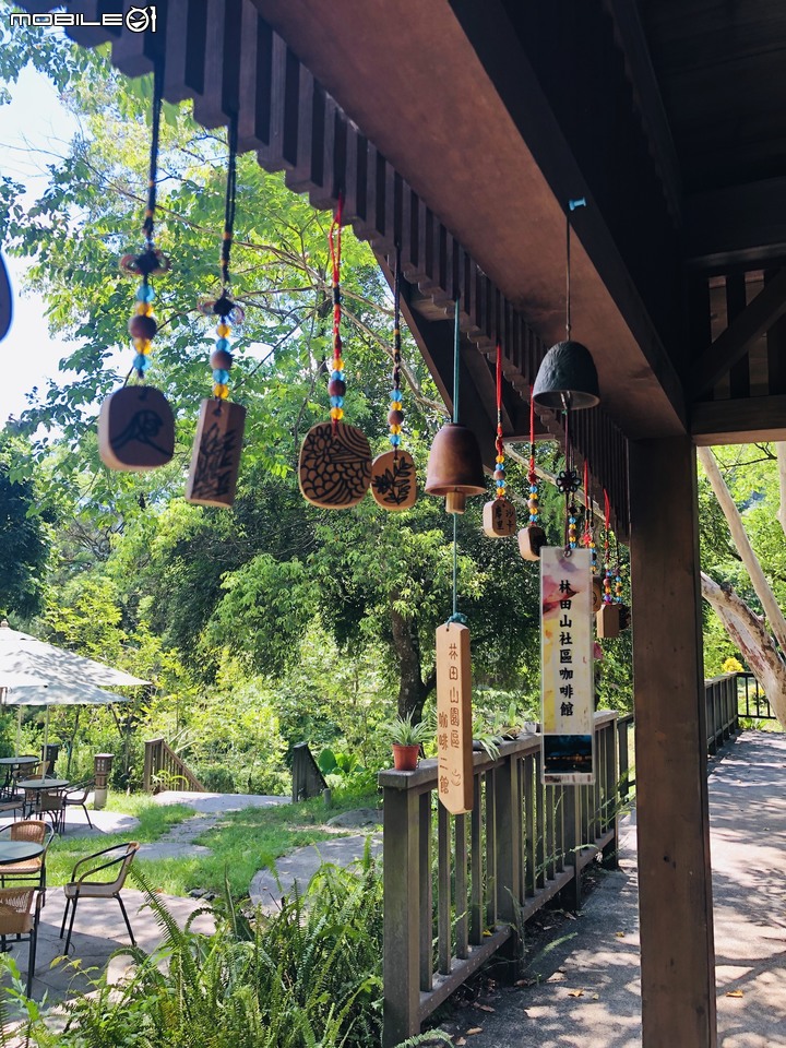 【小惡魔振興券】 追熱氣球途中,轉角遇見花蓮部落山林人文之美
