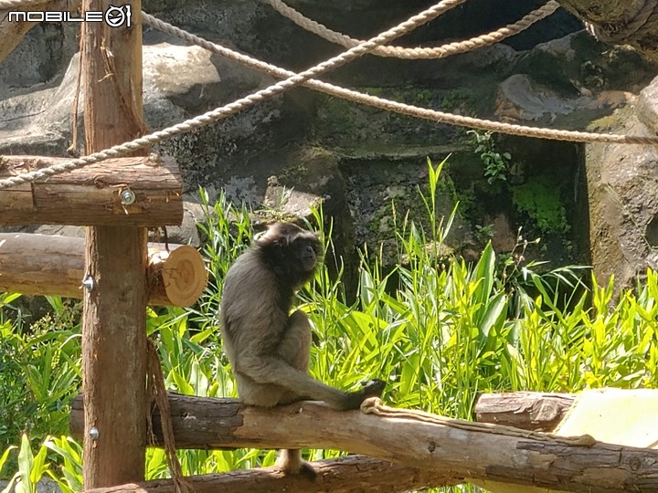 【小惡魔振興券】新竹市立動物園。2019年底重新開幕，逛全台現存最古老動物園，還能欣賞日治時期古蹟