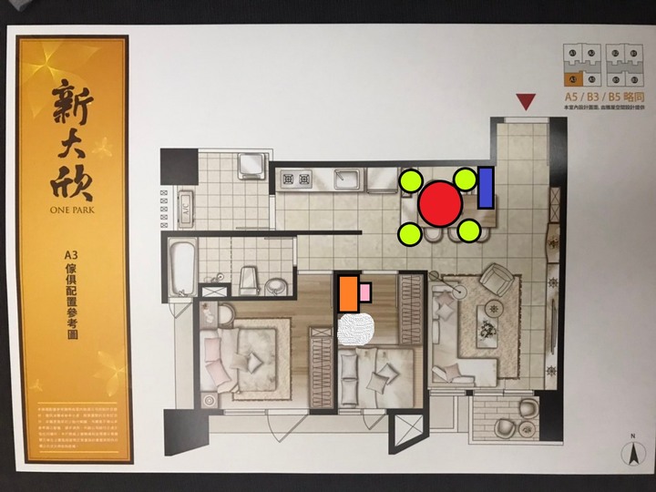 [誠實看屋]成功脫離寶佳(?)的「新大欣」