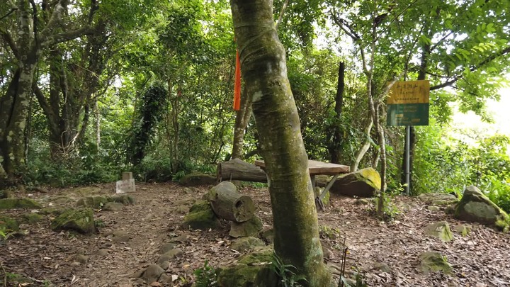 [樂山童盟] [桃園大溪] 溪洲山步道(新溪洲山-石門水庫)