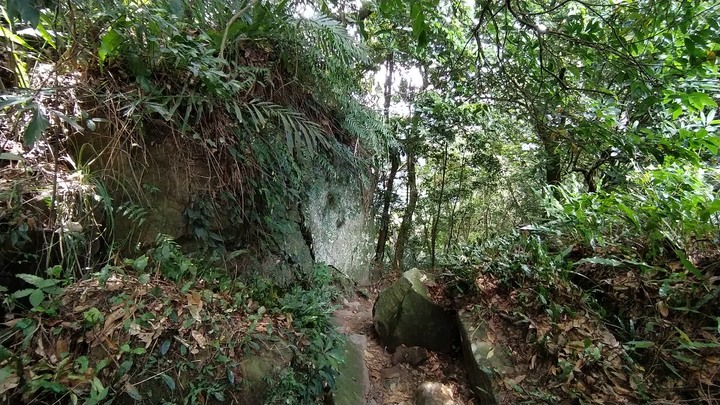 [樂山童盟] [桃園大溪] 溪洲山步道(新溪洲山-石門水庫)