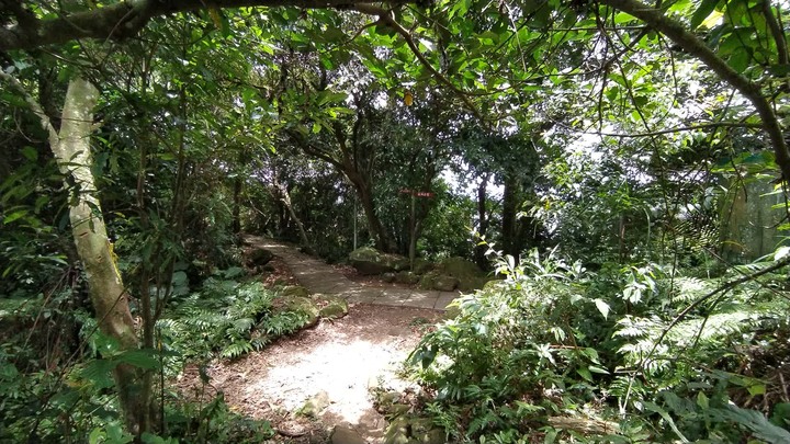 [樂山童盟] [桃園大溪] 溪洲山步道(新溪洲山-石門水庫)