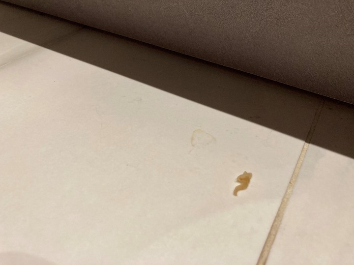 包完粽子的油膩地板終於有解!