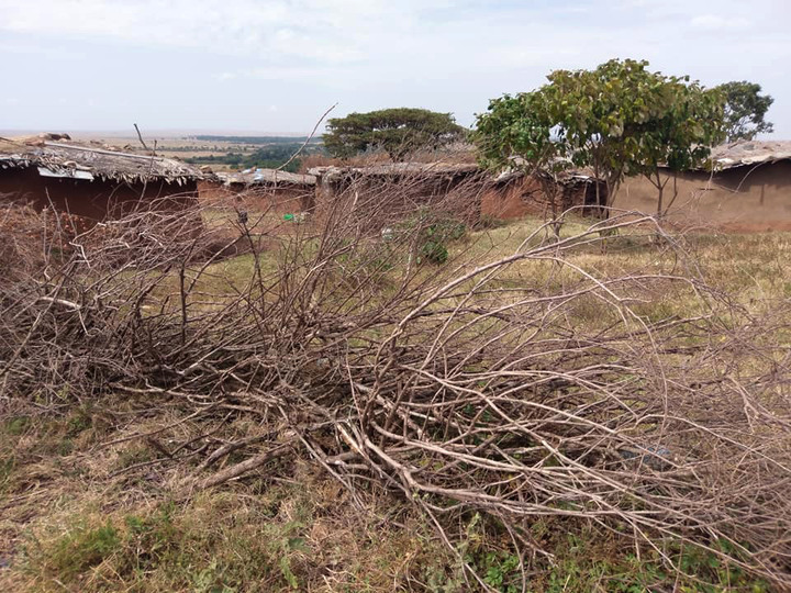 Kenya Safari │ 動物大遷徙 Day 7