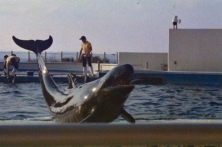 點我看大圖 分享 OLYMPUS OM1 2019 測評