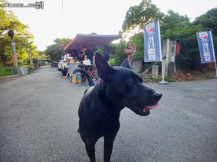 彰化縣彰化市 / 抗日咖啡影像記錄 / 禮拜六限定