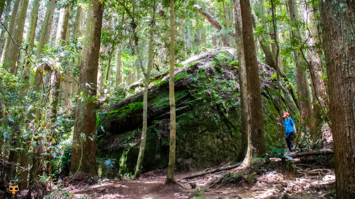 攻頂台版富士山｜加里山包車攻頂一日遊