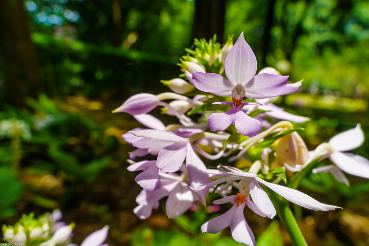 [開箱] Tamron 28-200mm F2.8-5.6 A071 不專業試拍