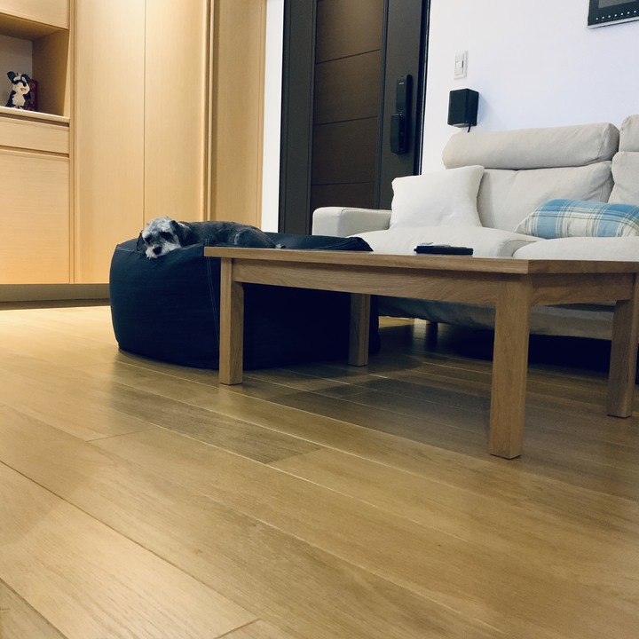 無印日式-家的實踐 (更新裝潢、傢俱與家電品項，總價)