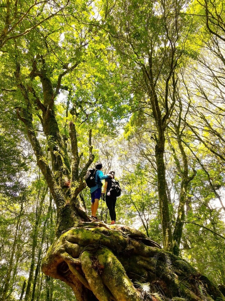 高山景仰心何限 始覺今朝眼界開 羅馬縱走