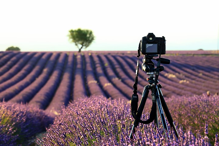 EOS R_南法薰衣草與蔚藍海視界@普羅旺斯 / 尼斯 / 坎城 / 摩納哥