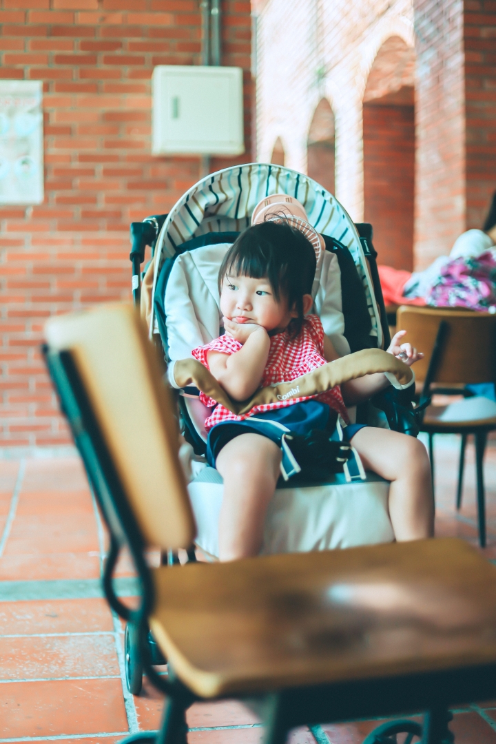Canon eos RP+ EF50/1.8 新手攝影之媽媽視角