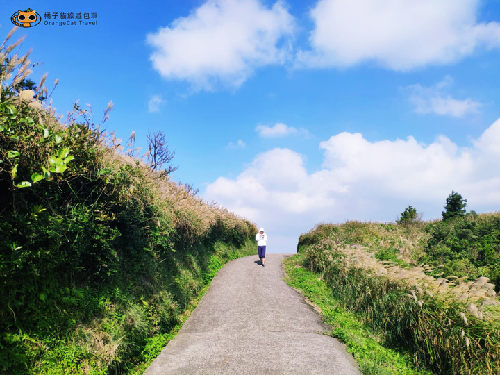 2020陽明山芒草季｜交通方式、賞花路線、熱門拍照點、賞花小技巧