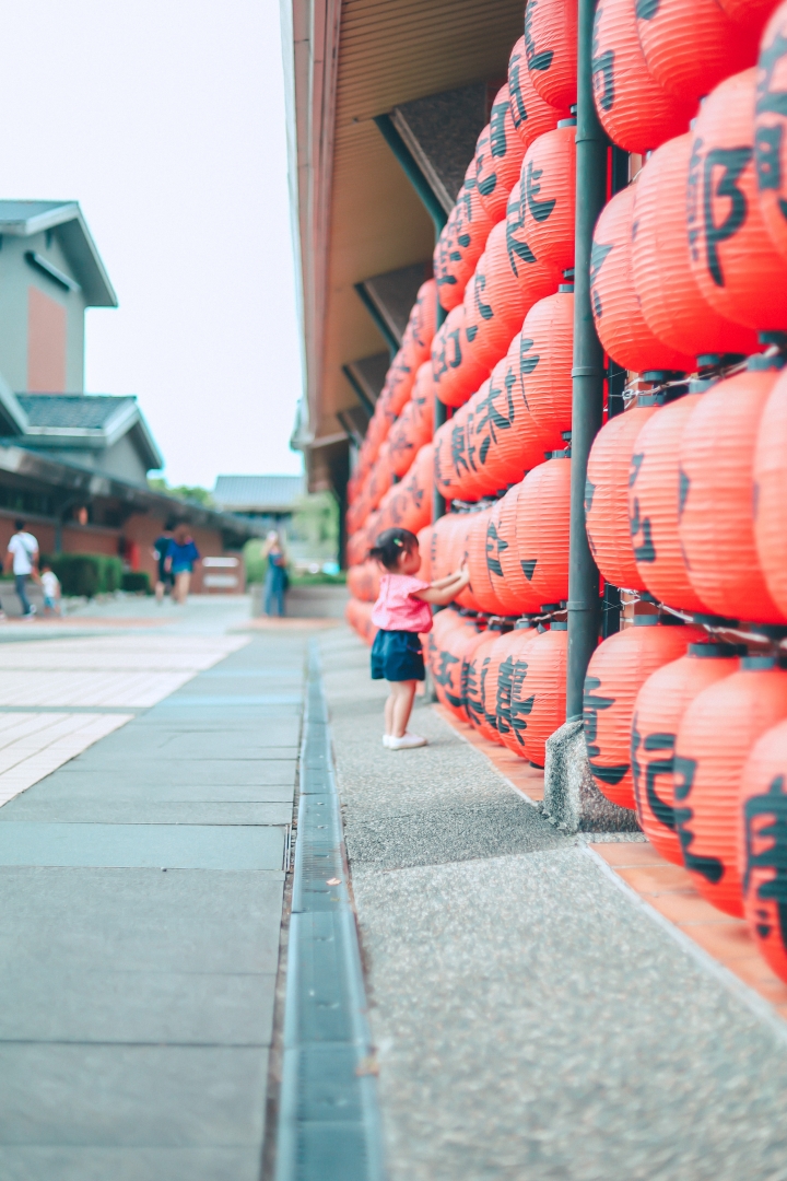 Canon eos RP+ EF50/1.8 新手攝影之媽媽視角