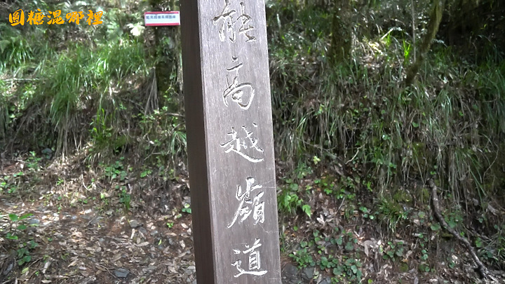 【奇萊南華】百岳入門|美女新手初體驗|挑戰高山比基尼|畢生難忘的金色奇萊|圓糖混哪裡全新登山冒險節目!